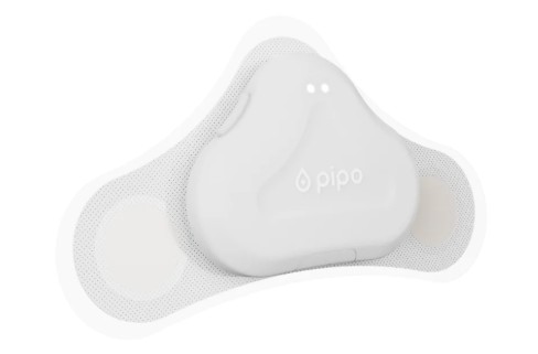 PIPO